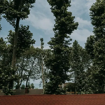 ゲストハウス Platan