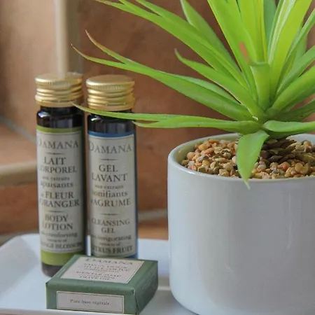 ゲストハウス Platan